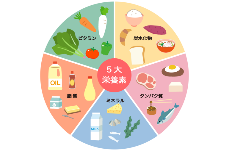 eiyou01